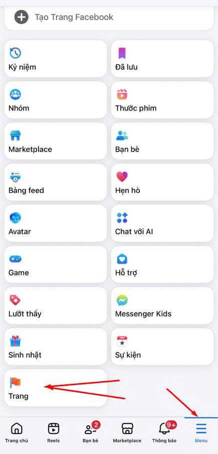 ảnh 2